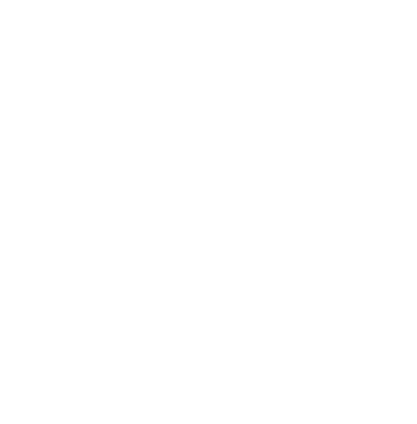 IMB · International Management & Business Institute